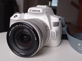 Canon EOS 250D + 18-55mm IS STM -järjestelmäkamera, Kamerat, Kamerat ja valokuvaus, Jyväskylä, Tori.fi