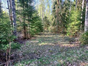 4000m², Toivontie 29, Seinäjoki, Tontit, Seinäjoki, Tori.fi 4000m², Toivontie 29, Seinäjoki, Tontit, Seinäjoki, Tori.fi