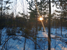 Tontti etsinnässä!, Tontit, Liminka, Tori.fi Tontti etsinnässä!, Tontit, Liminka, Tori.fi