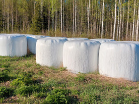 Rehupaaleja, Maatalous, Pieksämäki, Tori.fi Rehupaaleja, Maatalous, Pieksämäki, Tori.fi