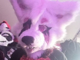 Fursuit pää, Pelit ja muut harrastukset, Mikkeli, Tori.fi Fursuit pää, Pelit ja muut harrastukset, Mikkeli, Tori.fi