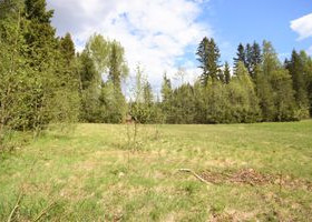2400m², Patoniityntie 13 b, Sipoo, Tontit, Sipoo, Tori.fi 2400m², Patoniityntie 13 b, Sipoo, Tontit, Sipoo, Tori.fi