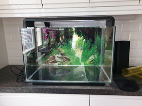 Super fish home 60l akvaario, Kalat ja akvaariot, Lemmikkieläimet, Kerava, Tori.fi Super fish home 60l akvaario, Kalat ja akvaariot, Lemmikkieläimet, Kerava, Tori.fi