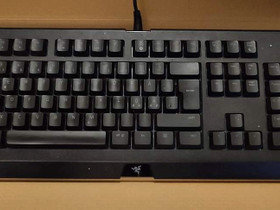 Razer Cynosa Chroma pelinäppäimistö, Oheislaitteet, Tietokoneet ja lisälaitteet, Mikkeli, Tori.fi Razer Cynosa Chroma pelinäppäimistö, Oheislaitteet, Tietokoneet ja lisälaitteet, Mikkeli, Tori.fi