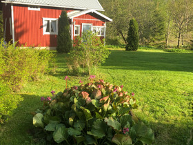 Mummonmökki & pientila 1,3 ha, Mökit ja loma-asunnot, Mikkeli, Tori.fi Mummonmökki & pientila 1,3 ha, Mökit ja loma-asunnot, Mikkeli, Tori.fi