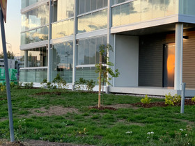 Huippupaikalta 30m2 yksiö, Vuokrattavat asunnot, Asunnot, Helsinki, Tori.fi Huippupaikalta 30m2 yksiö, Vuokrattavat asunnot, Asunnot, Helsinki, Tori.fi