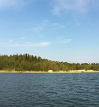 1.16 ha, Boskär, Vaasa, Tontit, Vaasa, Tori.fi 1.16 ha, Boskär, Vaasa, Tontit, Vaasa, Tori.fi