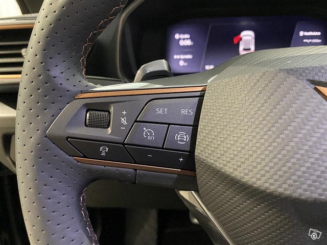 Cupra Formentor 19