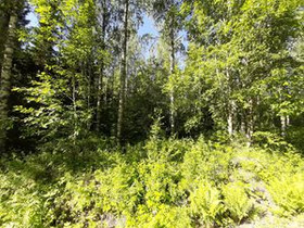 3880m², Kinnulanniemi Tontti 6, Suonenjoki, Tontit, Suonenjoki, Tori.fi 3880m², Kinnulanniemi Tontti 6, Suonenjoki, Tontit, Suonenjoki, Tori.fi