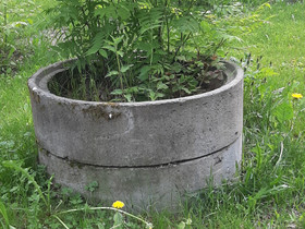 Kaivon renkaita, Ruukut, kivet ja koristeet, Piha ja puutarha, Joensuu, Tori.fi Kaivon renkaita, Ruukut, kivet ja koristeet, Piha ja puutarha, Joensuu, Tori.fi