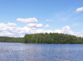4610m², Härkörannantie 51 E, Kangasniemi, Tontit, Kangasniemi, Tori.fi 4610m², Härkörannantie 51 E, Kangasniemi, Tontit, Kangasniemi, Tori.fi