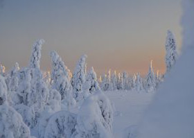 581m², Ukkohalla, Vihtakuja Kortteli 68, tontti 2,, Tontit, Hyrynsalmi, Tori.fi 581m², Ukkohalla, Vihtakuja Kortteli 68, tontti 2,, Tontit, Hyrynsalmi, Tori.fi