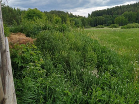 Täyttömaata, Muu piha ja puutarha, Piha ja puutarha, Kouvola, Tori.fi Täyttömaata, Muu piha ja puutarha, Piha ja puutarha, Kouvola, Tori.fi