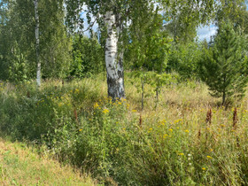Tontti Ylistaro, Tontit, Seinäjoki, Tori.fi Tontti Ylistaro, Tontit, Seinäjoki, Tori.fi