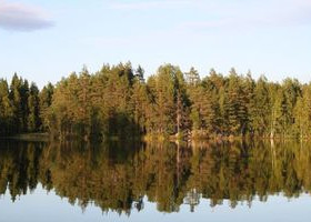 5000m², Yläkanavantie, Heinävesi, Tontit, Heinävesi, Tori.fi 5000m², Yläkanavantie, Heinävesi, Tontit, Heinävesi, Tori.fi