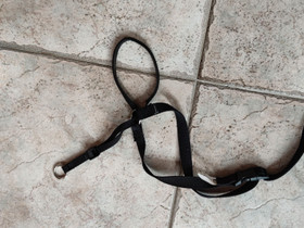 Vedonesto kuonopanta koko L, Koirien tarvikkeet, Lemmikkieläimet, Ulvila, Tori.fi Vedonesto kuonopanta koko L, Koirien tarvikkeet, Lemmikkieläimet, Ulvila, Tori.fi