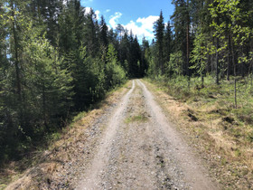 O: Gravel-pyörä s/m, Muut pyörät, Polkupyörät ja pyöräily, Mikkeli, Tori.fi O: Gravel-pyörä s/m, Muut pyörät, Polkupyörät ja pyöräily, Mikkeli, Tori.fi