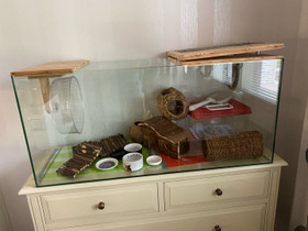 Siisti terraario 100x40 +tavarat, Muut eläintarvikkeet, Lemmikkieläimet, Kauhajoki, Tori.fi Siisti terraario 100x40 +tavarat, Muut eläintarvikkeet, Lemmikkieläimet, Kauhajoki, Tori.fi