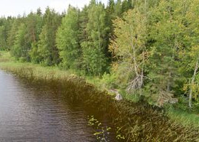 2750m², Suvasvesi, Pouhansaari Kortteli 5, tontti, Tontit, Leppävirta, Tori.fi 2750m², Suvasvesi, Pouhansaari Kortteli 5, tontti, Tontit, Leppävirta, Tori.fi