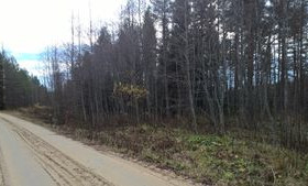 Penkkiniementie 65, Elomäki, Nurmes, Metsätilat ja maatilat, Nurmes, Tori.fi Penkkiniementie 65, Elomäki, Nurmes, Metsätilat ja maatilat, Nurmes, Tori.fi