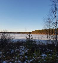 Siikalammen pienpalsta, Näskäjärventie 20, Ranua, Metsätilat ja maatilat, Ranua, Tori.fi Siikalammen pienpalsta, Näskäjärventie 20, Ranua, Metsätilat ja maatilat, Ranua, Tori.fi