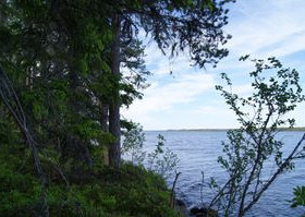 7350m², Laakajärvi (2/3) Kortteli 2, Tontti 3, Son, Tontit, Sotkamo, Tori.fi 7350m², Laakajärvi (2/3) Kortteli 2, Tontti 3, Son, Tontit, Sotkamo, Tori.fi