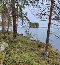 4849m², Laakajärvi (2/2, Haahkantie 44), Kajaani, Tontit, Sotkamo, Tori.fi