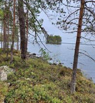 4849m², Laakajärvi (2/2, Haahkantie 44), Kajaani, Tontit, Sotkamo, Tori.fi 4849m², Laakajärvi (2/2, Haahkantie 44), Kajaani, Tontit, Sotkamo, Tori.fi