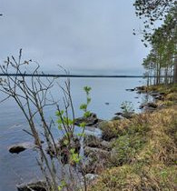3522m², Laakajärvi (2/3, Haahkantie 38), Kajaani, Tontit, Sotkamo, Tori.fi 3522m², Laakajärvi (2/3, Haahkantie 38), Kajaani, Tontit, Sotkamo, Tori.fi