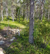 1622m², Luosto Orresokka, Suovatie Kortteli 283, t, Tontit, Sodankylä, Tori.fi 1622m², Luosto Orresokka, Suovatie Kortteli 283, t, Tontit, Sodankylä, Tori.fi