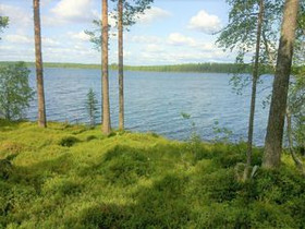 6700m², Kiantajärven eteläosa Kortteli 5, tontti 9, Tontit, Suomussalmi, Tori.fi 6700m², Kiantajärven eteläosa Kortteli 5, tontti 9, Tontit, Suomussalmi, Tori.fi