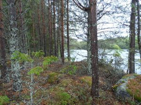4000m², Storträsket (1) Raippaluoto Raggskärsvägen, Tontit, Mustasaari, Tori.fi