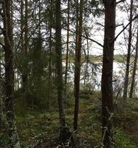 1.17 ha, Risoträsket, Mustasaari, Tontit, Mustasaari, Tori.fi 1.17 ha, Risoträsket, Mustasaari, Tontit, Mustasaari, Tori.fi