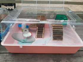 Hamsterin häkki, Muut eläintarvikkeet, Lemmikkieläimet, Kurikka, Tori.fi Hamsterin häkki, Muut eläintarvikkeet, Lemmikkieläimet, Kurikka, Tori.fi