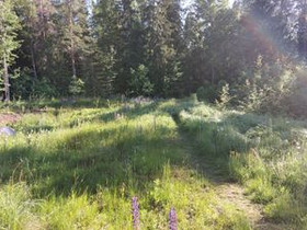 2697m², Närhitie 1, Vantaa, Tontit, Vantaa, Tori.fi 2697m², Närhitie 1, Vantaa, Tontit, Vantaa, Tori.fi