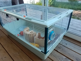 Häkki, Muut eläintarvikkeet, Lemmikkieläimet, Oulu, Tori.fi Häkki, Muut eläintarvikkeet, Lemmikkieläimet, Oulu, Tori.fi