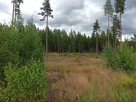 10000m², Vanha Hämeentie 523, Tuusula, Tontit, Tuusula, Tori.fi 10000m², Vanha Hämeentie 523, Tuusula, Tontit, Tuusula, Tori.fi