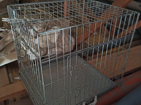 Metallihäkki, Koirien tarvikkeet, Lemmikkieläimet, Siikajoki, Tori.fi Metallihäkki, Koirien tarvikkeet, Lemmikkieläimet, Siikajoki, Tori.fi