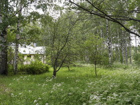 Reilun kokoinen tontti, Tontit, Joensuu, Tori.fi Reilun kokoinen tontti, Tontit, Joensuu, Tori.fi