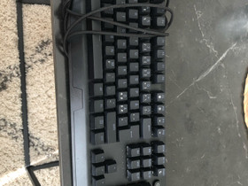 Razer blackwidow v3, Oheislaitteet, Tietokoneet ja lisälaitteet, Kempele, Tori.fi Razer blackwidow v3, Oheislaitteet, Tietokoneet ja lisälaitteet, Kempele, Tori.fi