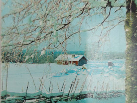 Puhelinkortti "Snowy beauty", Muu keräily, Keräily, Savonlinna, Tori.fi Puhelinkortti "Snowy beauty", Muu keräily, Keräily, Savonlinna, Tori.fi