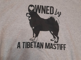 Tiibetinmastiffi paita, Koirien tarvikkeet, Lemmikkieläimet, Espoo, Tori.fi