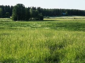 Heinää korjattavaksi, Maatalous, Vieremä, Tori.fi Heinää korjattavaksi, Maatalous, Vieremä, Tori.fi