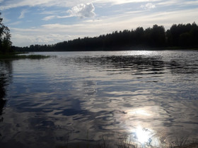 Yksiö hakusessa, Vuokrattavat asunnot, Asunnot, Joensuu, Tori.fi Yksiö hakusessa, Vuokrattavat asunnot, Asunnot, Joensuu, Tori.fi