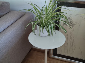 BoConcept sivupöytä, Pöydät ja tuolit, Sisustus ja huonekalut, Oulu, Tori.fi BoConcept sivupöytä, Pöydät ja tuolit, Sisustus ja huonekalut, Oulu, Tori.fi