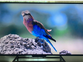 Sony 48" FullHD Smart-TV, Televisiot, Viihde-elektroniikka, Tampere, Tori.fi Sony 48" FullHD Smart-TV, Televisiot, Viihde-elektroniikka, Tampere, Tori.fi