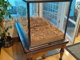 Akvaario/terraario 220L (mitat tekstissä), Kalat ja akvaariot, Lemmikkieläimet, Espoo, Tori.fi Akvaario/terraario 220L (mitat tekstissä), Kalat ja akvaariot, Lemmikkieläimet, Espoo, Tori.fi
