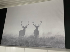 Taulu, Taulut, Sisustus ja huonekalut, Hämeenlinna, Tori.fi Taulu, Taulut, Sisustus ja huonekalut, Hämeenlinna, Tori.fi