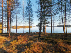 Hirsimökki Pielavedellä, Mökit ja loma-asunnot, Pielavesi, Tori.fi Hirsimökki Pielavedellä, Mökit ja loma-asunnot, Pielavesi, Tori.fi