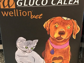 Wellion Vet Gluco Calea verensokerimittari, Koirien tarvikkeet, Lemmikkieläimet, Helsinki, Tori.fi Wellion Vet Gluco Calea verensokerimittari, Koirien tarvikkeet, Lemmikkieläimet, Helsinki, Tori.fi
